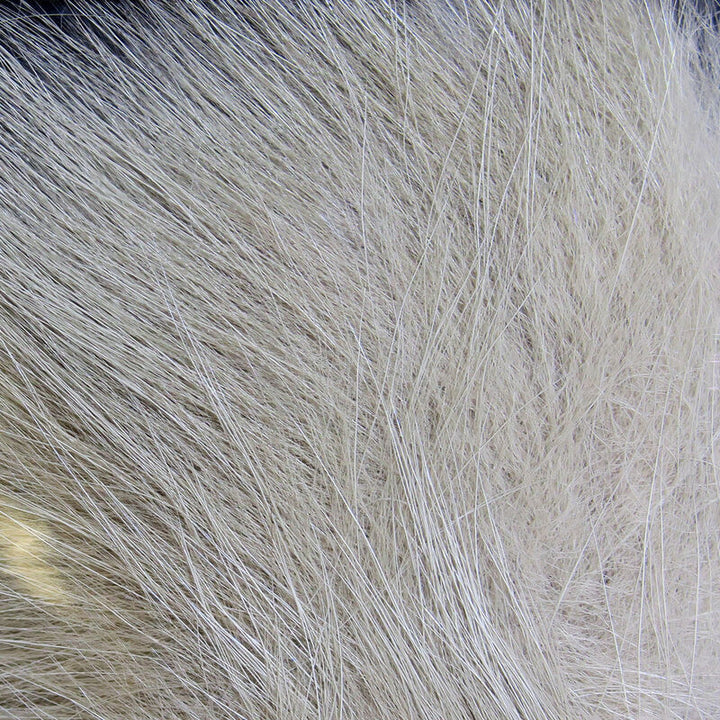 Arctic Fox Fur (Hareline)