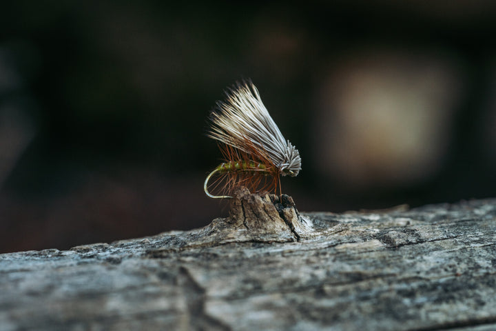 Umpqua Tiemco TMC100