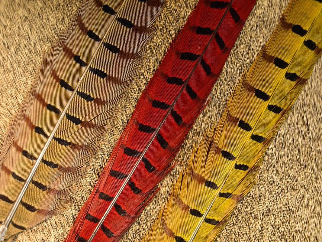 Ringneck Pheasant Center Tail Feathers (Nature’s Spirit)