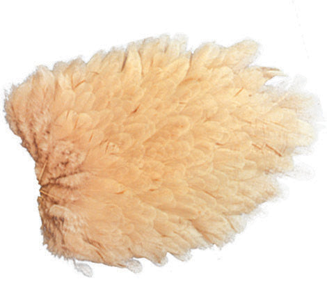 Genetic Hen Saddle Patch