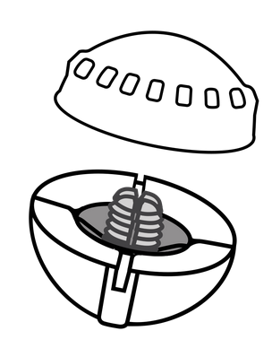 AirLock CenterLock Strike Indicator
