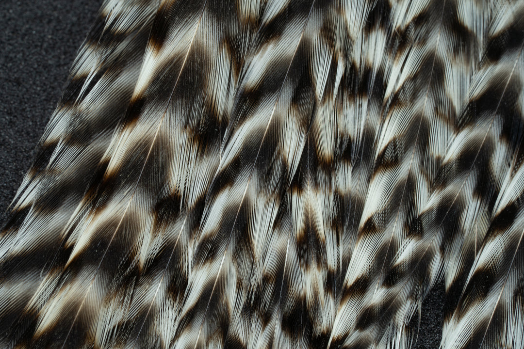 Metz Graded Hackle - Select Single