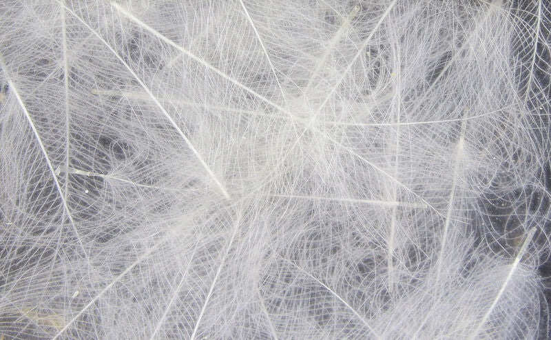 CDC Cul De Canard (Hareline)