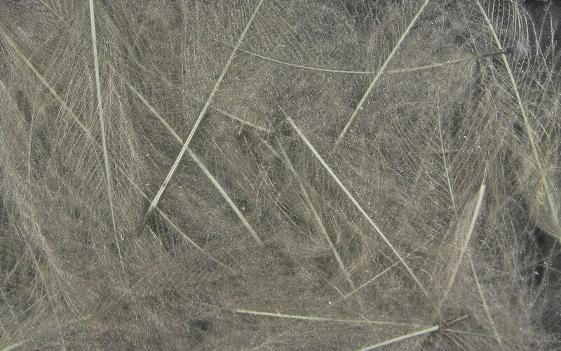 CDC Cul De Canard (Hareline)