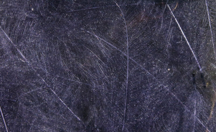 CDC Cul De Canard (Hareline)