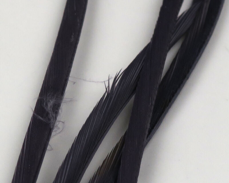 Stripped Goose Biots (Hareline)