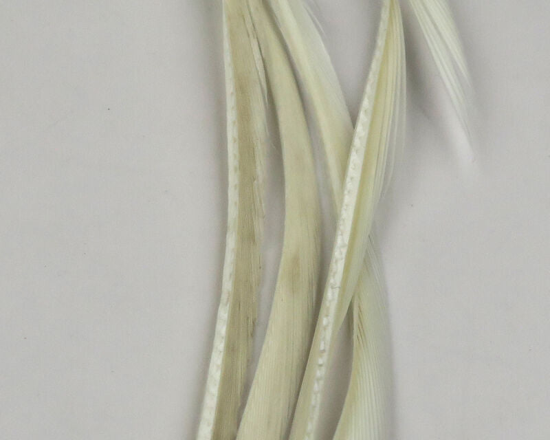 Stripped Goose Biots (Hareline)