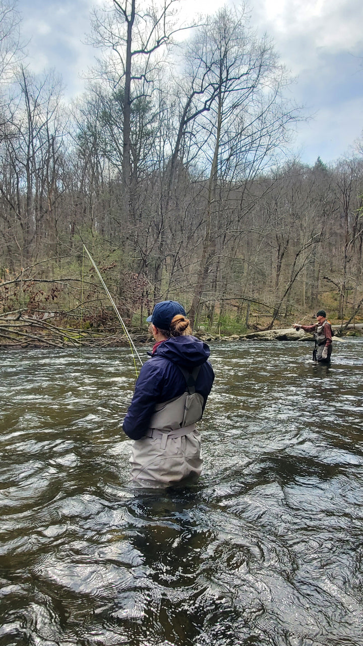 Public Waters Guided Fly-Fishing Trip (Half Day)