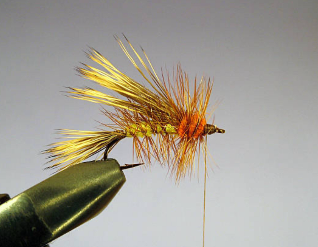 Women's Fly Tying with Kayla Gordon!