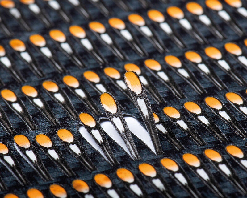 Pro Sportfisher Jungle Cock Natural