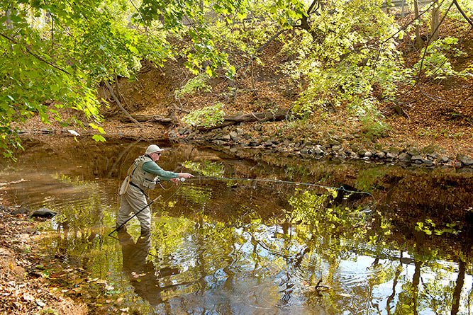 Private Waters Guided Fly-Fishing Trip (Half Day)