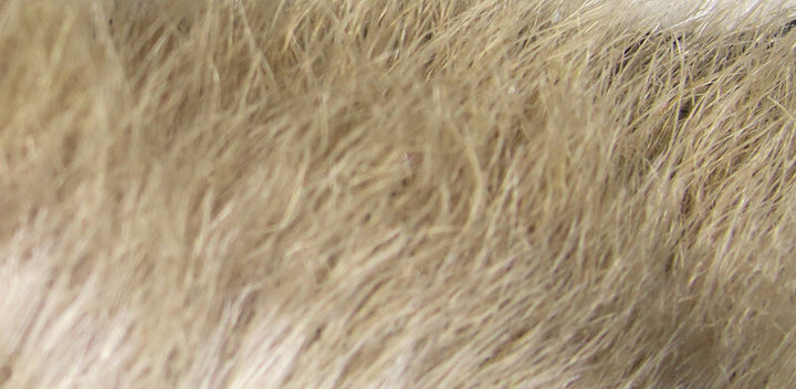 Snowshoe Rabbit Feet (Hareline)