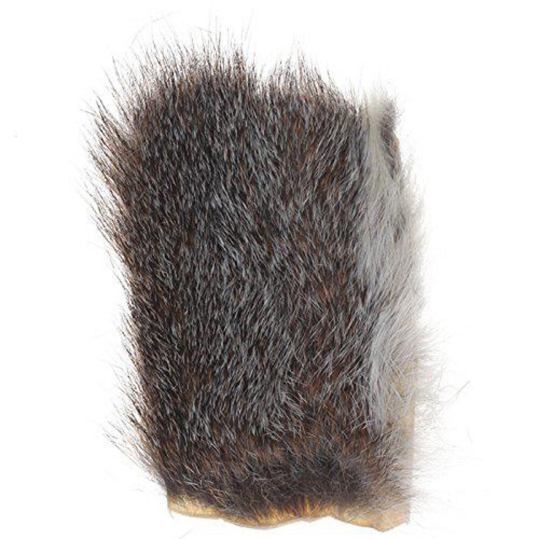 Squirrel Body Pieces