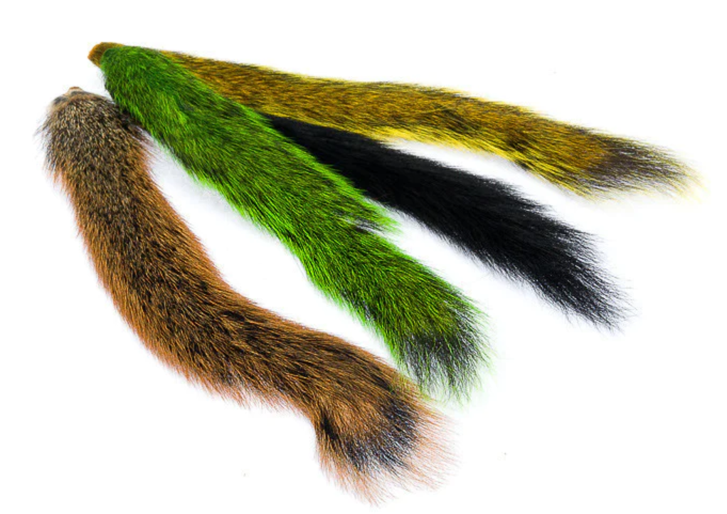 Squirrel Tail