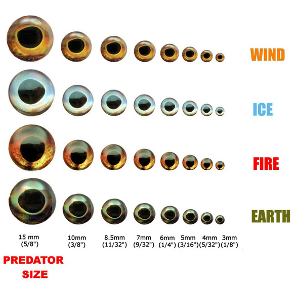 Fish Skull Living Eyes