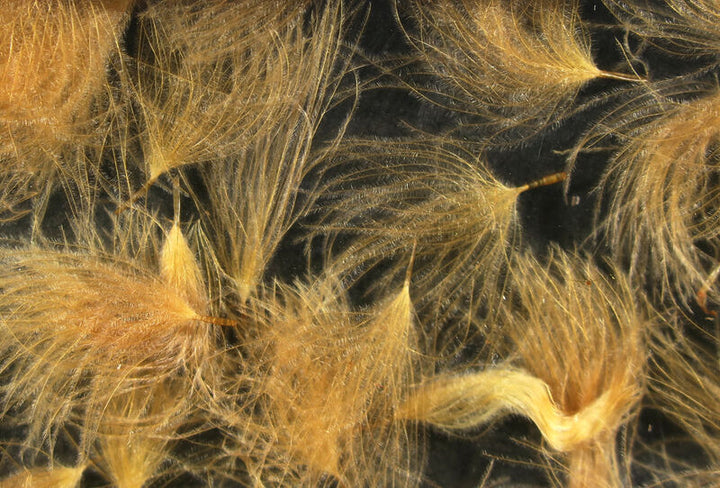 CDC Puffs (Hareline)