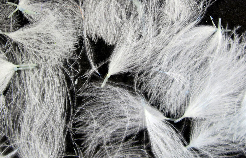 CDC Puffs (Hareline)