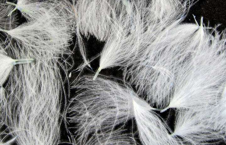 CDC Puffs (Hareline)