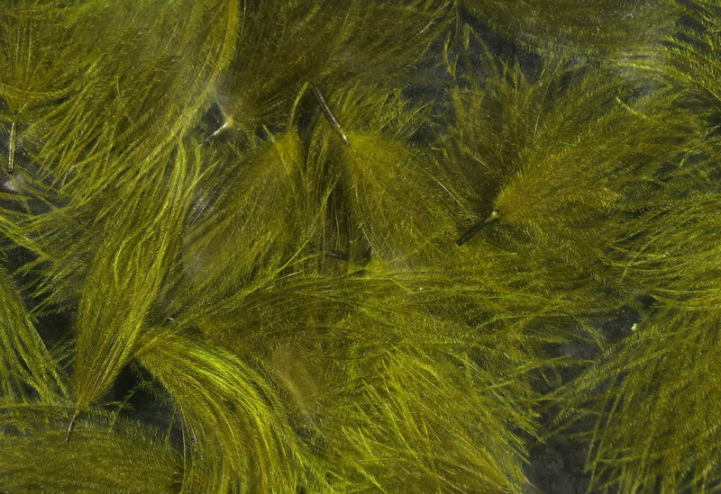 CDC Puffs (Hareline)