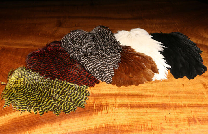 Hen Saddle