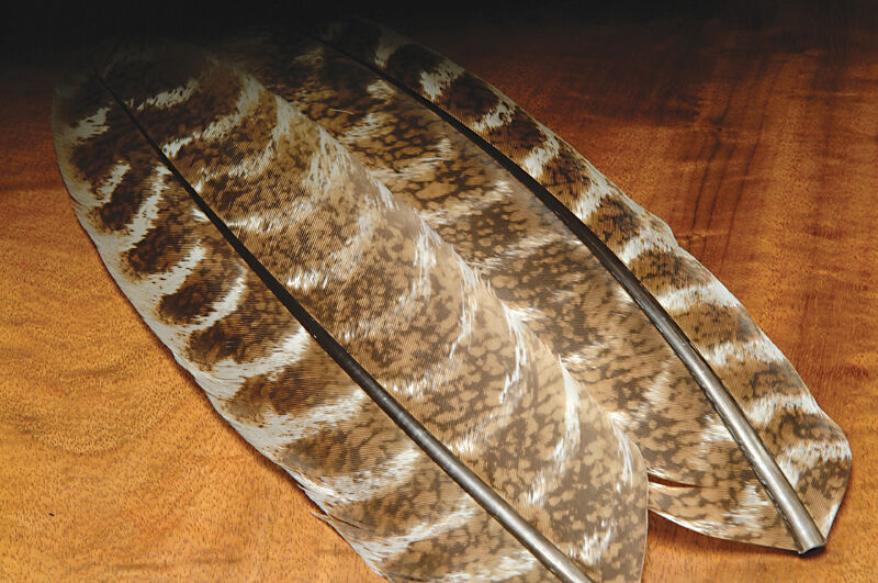 Ozark Oak Mottled Turkey Quills (Hareline)