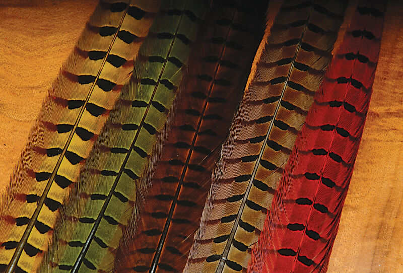 Ringneck Pheasant Tail Feathers (Hareline)