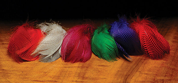 Teal Flank (Hareline)