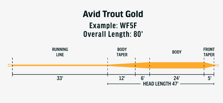 Rio Avid Trout (Gold)