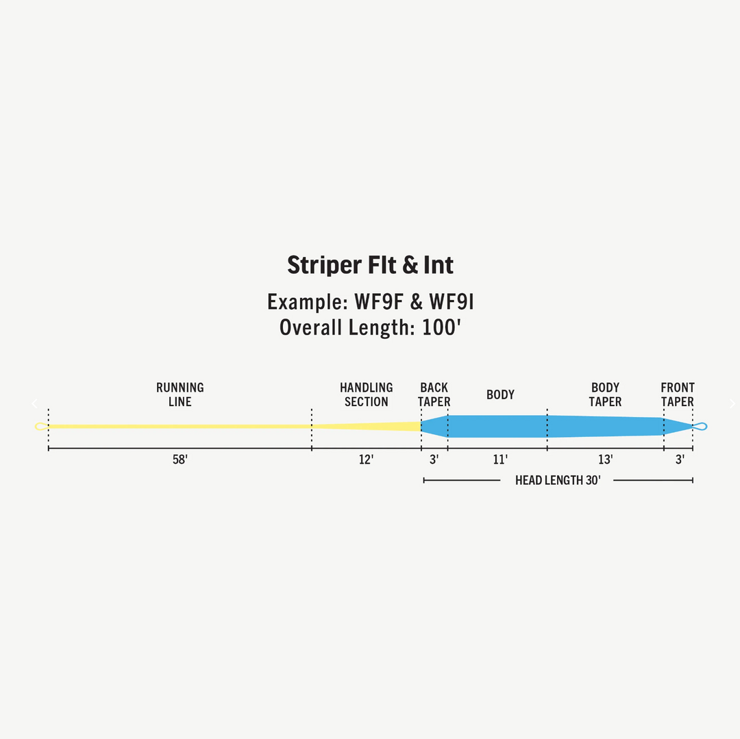 Rio Premier Striper