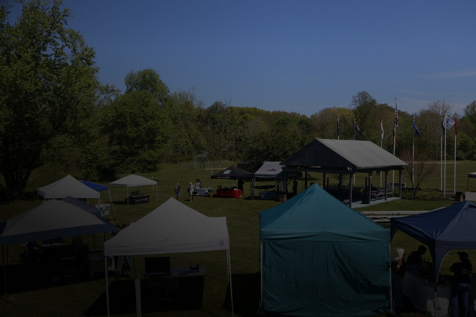 Vendor tents and flags on the field at Trout Fest