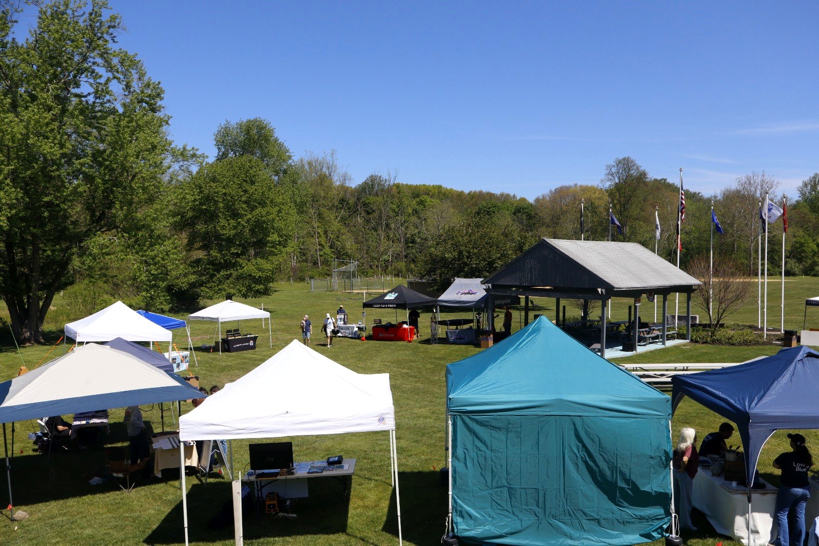 Trout Fest tents and flags at Califon Island Park