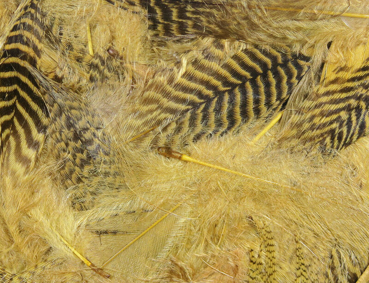 Teal Flank (Hareline)
