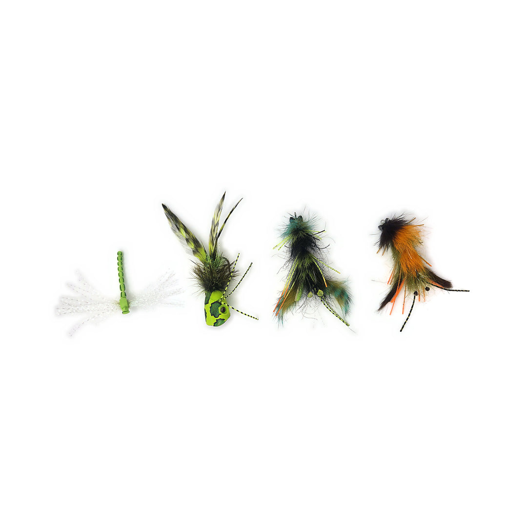 The six flies in the box, laid out