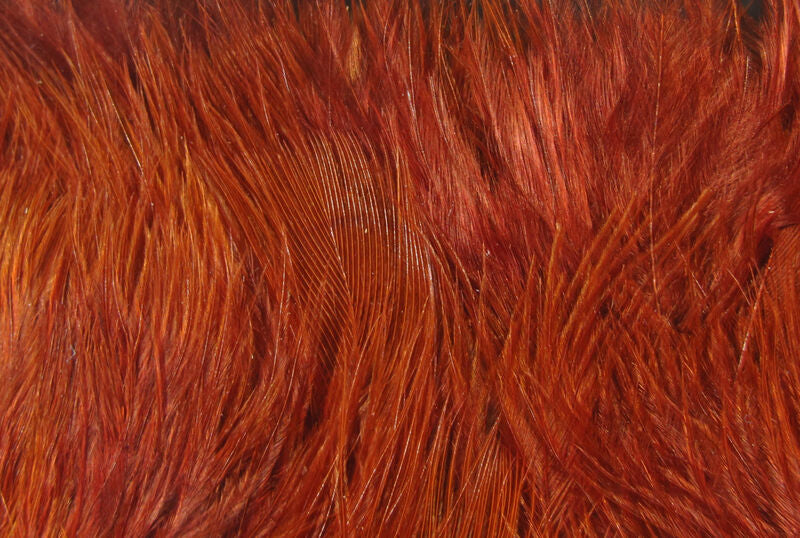 Wooly Bugger Marabou