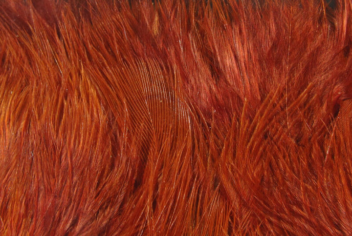 Wooly Bugger Marabou